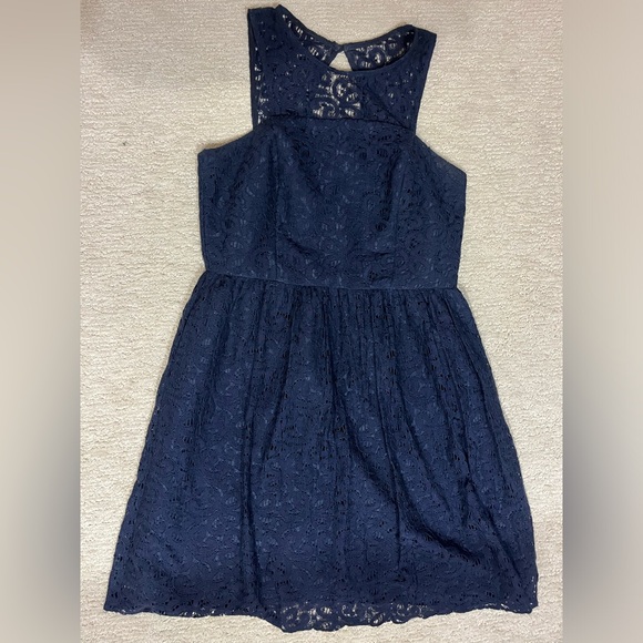 The Limited Lace Dress size 10 - Picture 1 of 8